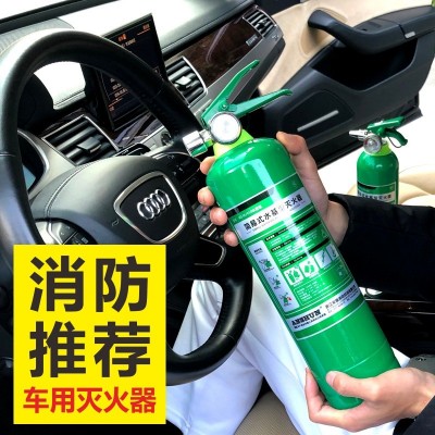 安顺简易式水基灭火器 1公斤不锈钢碳钢车载家用灭火器厂家批发图4