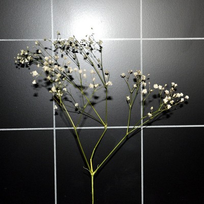 卫生间瓷砖300x600北欧风厨房厕所白色格子面包砖小白砖浴室墙砖图5