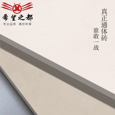 侘寂风柔光奶油色微水泥瓷砖600x1200通体天鹅绒奶白色客厅地砖  1片图4