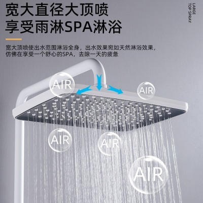 广东曼高卫浴 开平枪全铜沐浴花洒 冷热数显手持花洒莲蓬纯白枪灰  1套图4
