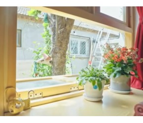 清华建筑师爆改胡同小院！是“桃花源“啊！