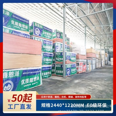 工厂直发9-18mmE0级多层板阻燃板 胶合板包装板木板家具板 雕刻版图3