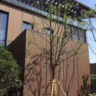 博岭 木塑户外墙板 室外园林景观护墙板 220*26格栅板 WPC墙板图5