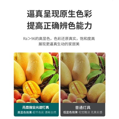 厂家led吸顶灯全光谱客厅灯房间餐厅吸顶灯阳台灯灯饰圆形卧室灯图5