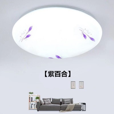 led圆形吸顶灯钻石现代简约走廊灯过道灯阳台厨卫灯条形灯具 批发图5
