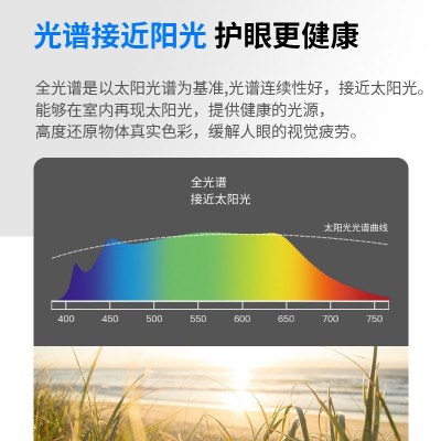 原木花朵吸顶灯全光谱卧室餐厅儿童房吸顶灯日式榻榻米中山灯具图4
