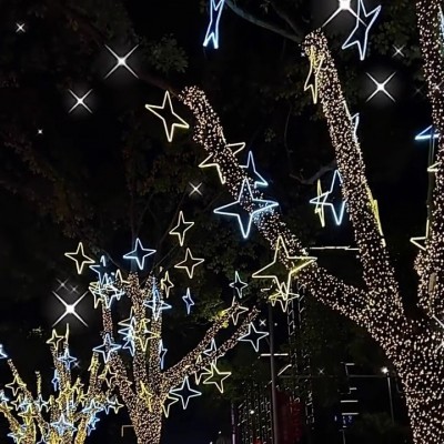 小彩灯闪灯串灯满天星灯户外防水景观亮化灯雪花星星灯挂件装饰灯图3
