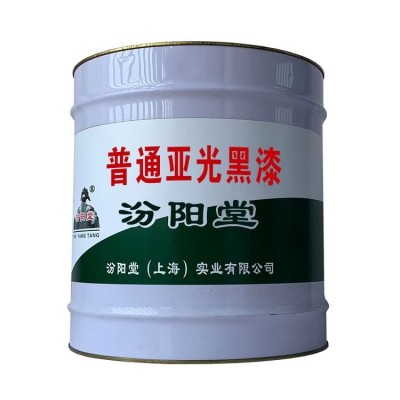 普通亚光黑漆，桥涵防水防渗，构筑物防锈防腐图3