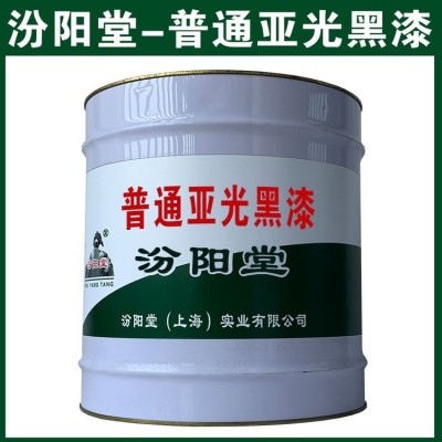 普通亚光黑漆，桥涵防水防渗，构筑物防锈防腐图4