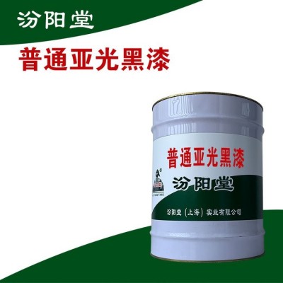 普通亚光黑漆，桥涵防水防渗，构筑物防锈防腐图2