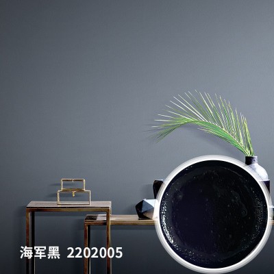 微水泥雅晶石天鹅绒蛋壳光艺术漆通用色浆250g内外墙面艺术涂料图4