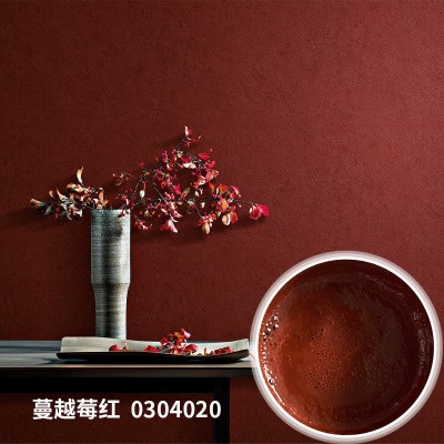 微水泥雅晶石天鹅绒蛋壳光艺术漆通用色浆250g内外墙面艺术涂料图2
