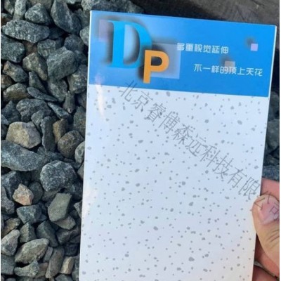 供应吊顶板 天花板 DP天花板图4