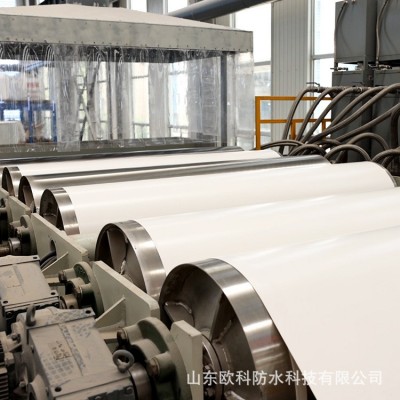 热塑性聚烯烃tpo防水卷材内增强耐根穿刺结构工程高分子防水材料图2